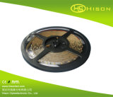 High Brightness IP68/IP65/IP20 3528 SMD Flexible LED Strip Lights