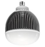 E40 Lightweight 120W LED Bulb Light (G250)