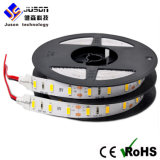 New! ! ! SMD LED Strip Light with Exciting Price