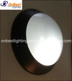 Hot Sale 18W LED Outdoor Ceiling Light in IP55 with Bridgelux LED Chips