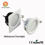 CE&RoHS Waterproof LED Outdoor Downlight Light