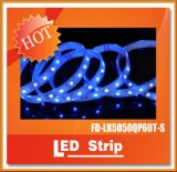 IP67 Waterproof RGB LED Strip Light SMD5050 300LEDs LED Rope Light