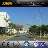 Wind Solar Street Light/ (LED Lighting)