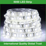 Pure White SMD5050 Light LED Strips 12V