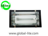 (TL-5103) Induction Tunnel Light
