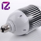 CE RoHS High Power 30W Cool White LED Light Bulb 30W (YL-BL100A)