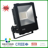 100lm/W IP65 100W LED Flood Light for Outdoor