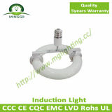 40W~80W Environmental Round LVD Induction Light with 5 Years Warranty
