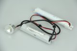 2016 New Product Emergency LED Down Light with CE Pr-Ldc003