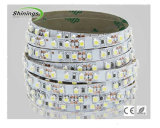 LED Decoration Strip Light (SOE-SL120102-3528)