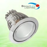 LED Down Light/LED Ceiling Light 10W (BL-DLYY10W-01)