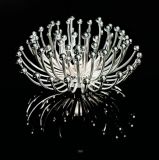 Chrysanthemum Table Lamp Chandelier (GT-7054-1)