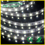 IP20 5050 30LED/M SMD LED Strip Light for Decoration