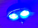Blue Spot LED Work Light for Forklift