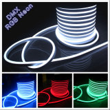 Color Changing 5050 RGB LED Neon Tube Flex Light Strip with DMX Controller