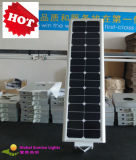 100%Solar LED Light/Solar Street Light/Solar Garden Light (SRS-S30)