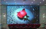 P5mm Indoor Full-Color LED Display/ Full-Color LED Display