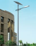Solar Street Light for Building and Hall 6m 30W