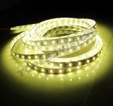 LED Strip Compliant with IEC/En62471