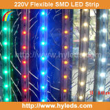 High Voltage Flexible SMD LED Strip Light (HY-HV3825-50-WW)