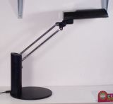 Desk Lamp (HL-5221)
