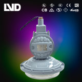 Luminous Efficiency, Energy Saving Explosion Proof Light for Various Places Including Gas Station
