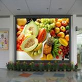 P5 Indoor Full-Color LED Display/Indoor Full-Color LED Display