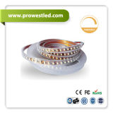DC12V SMD5050 LED Strip Light with Double Face PCB (PW7451)