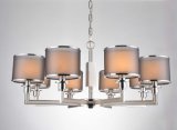 Interior Iron Lighting 8 Lights Foyer in Chrome with Double Shade (SL2022-8)