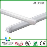 LED Lighting Promotion LED T8 Tube Light