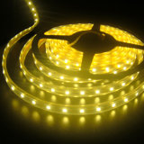 Rgbw LED Strip Light (ESH21310X)