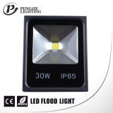 30W IP65 Outdoor LED Flood Light with CE RoHS Certificate