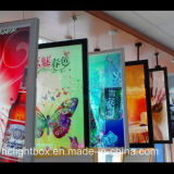 LED Hanging Display Double Sides Light Box Window Display Hanging Light Box