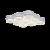 Indoor Decorative LED Ceiling Light (HS31001X-9)