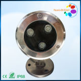 IP68 Edison Outdoor LED Garden Lights DC 24V with 304 Stainless Steel (HX-UW115-3W)