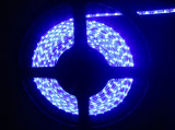 LED 335 Emitting Strip Light (XL-335-Blue)