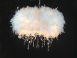 Good Sale 6 Lamp Feather Chandelier (KLD-2012/6)