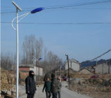 7m 60W Solar Project for Street Lighting