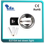 20W LED Down Light (G4 or E27 LED Lamp)