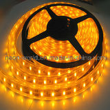 LED Flexible Strip Light--3528SMD 60LEDs/M 12V Yellow 5m/Roll Favourable (DL-3528Y60C-12V)