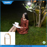 Rechargeable Multi-Purose LED Table Lamps for Studying