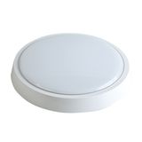 LED Ceiling Light, Round, 24W, Cool Light