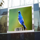 Hot Sale RGB LED Display P10 Outdoor for Advertising
