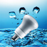 R63 CFL Energy Saving Light with CE (BNF R63-A)