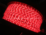Hot Sale LED 5050 Flex Strip Light 220V