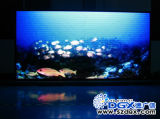 Dgx Fullcolor Indoor P6 LED Video Display-IP06