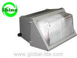(Wl-11001) High Quality Induction Lamp Wall Light