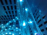 Blue Color 2 Wire LED Round Rope Light, Strip Light