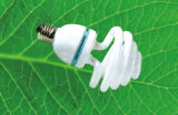 Mushroom Energy Saving Lamp (CFL Mushroom)