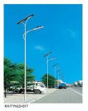 12m/110W LED Solar Street Light